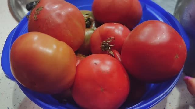 Садово-огородный влог. Цветы, курочки, дачные работы.