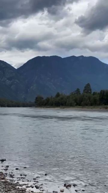 сплав на Алтае