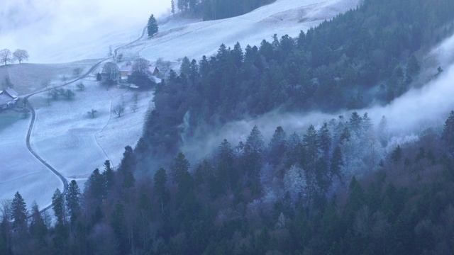 ❄️СНЕГ СОШЁЛ