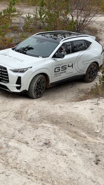 Как влияют режимы на работу электроники в GAC GS4 AWD? #gac