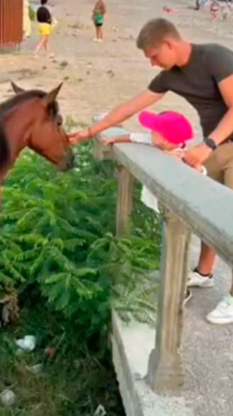 Мир, в котором я живу