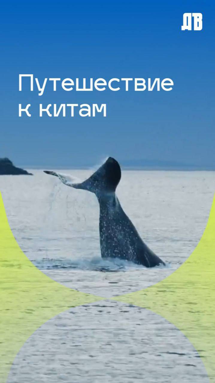 Бухта Врангеля