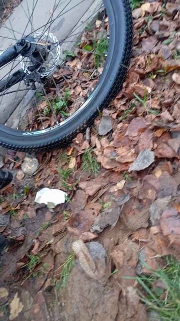 на улице первомайской 2 б беда. город электросталь.