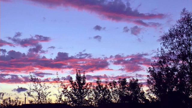 ⛈️ПОСЛЕ ДОЖДЯ