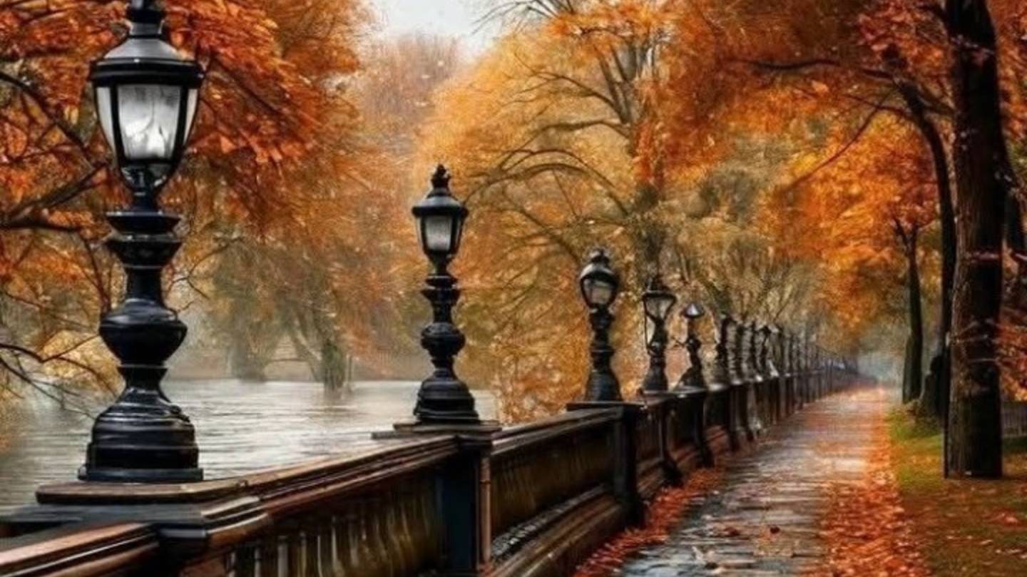 Прекрасной осени!! Доброго Утра!!!