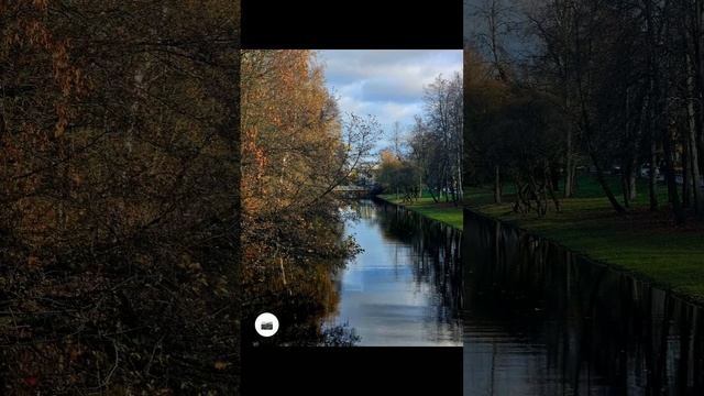 Каменный остров. 04.11.2025.