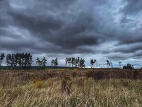 "РИТМЫ ОСЕННКГО СЕЗОНА"... (Фото Игнатия СОЛОВЬЁВА (Тула), музыка Ильи БЕШЕВЛИ (Красноярск)