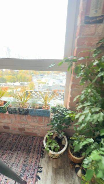 🔥Как вам идея для лоджии?