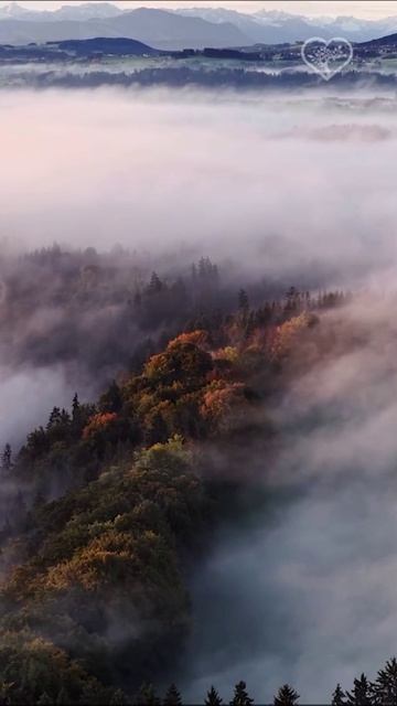 Доброе утро