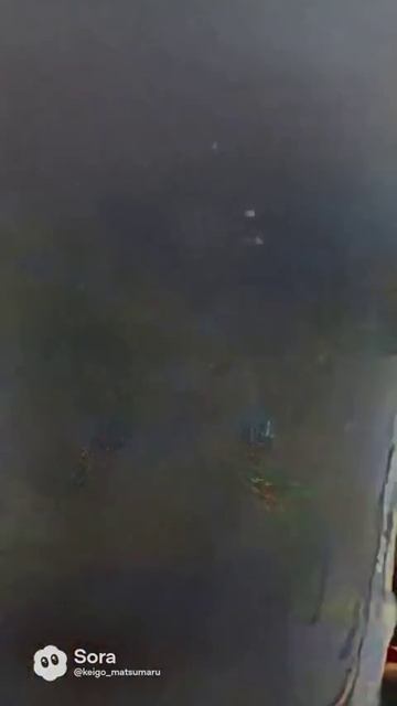 19700121_1631_690ad6997db0819192b7cf2ca7bee37c