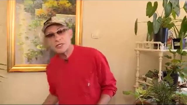 уДАЧное решение с Сергеем Богатским. Хвойные растения