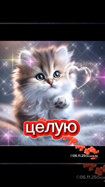 доброй ночи