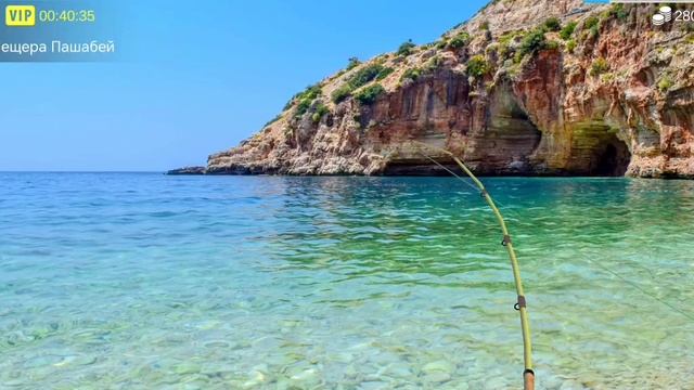 Как поймать скат в игре My Fishing World