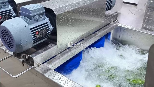 Линия для мытья огурцов