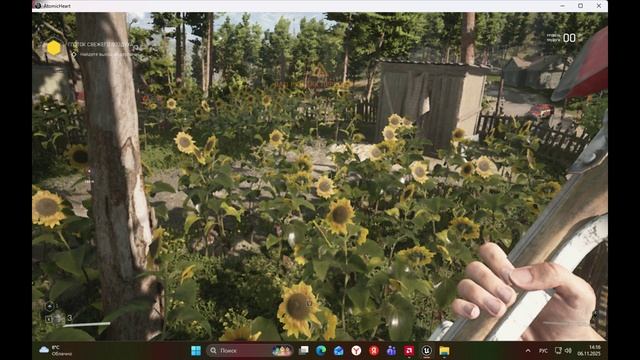 Атомное сердце