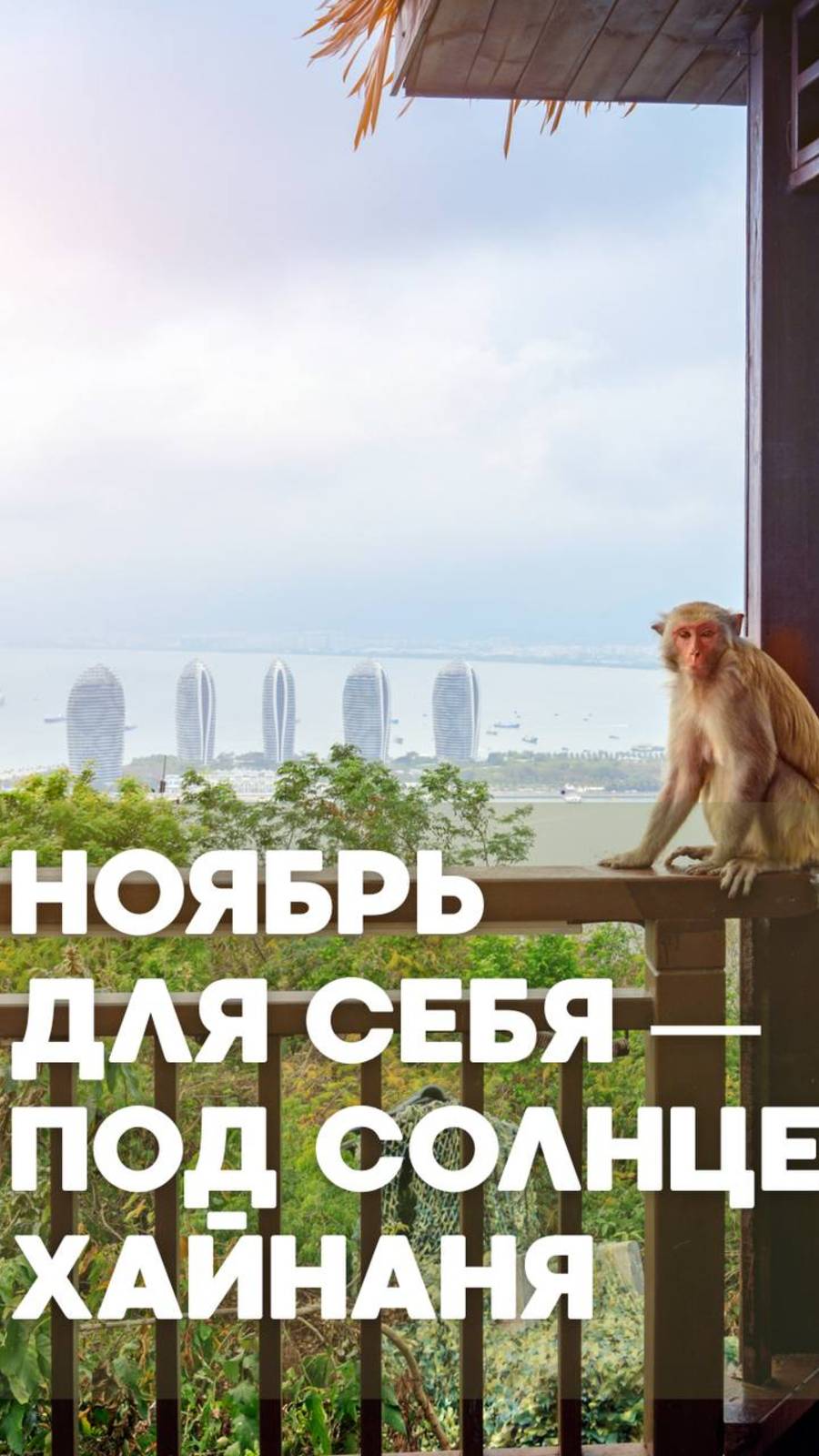 Ноябрь на Хайнане