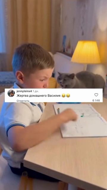 дайте нам кота