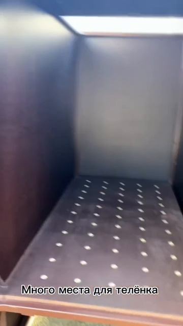 Сушильные боксы для телят