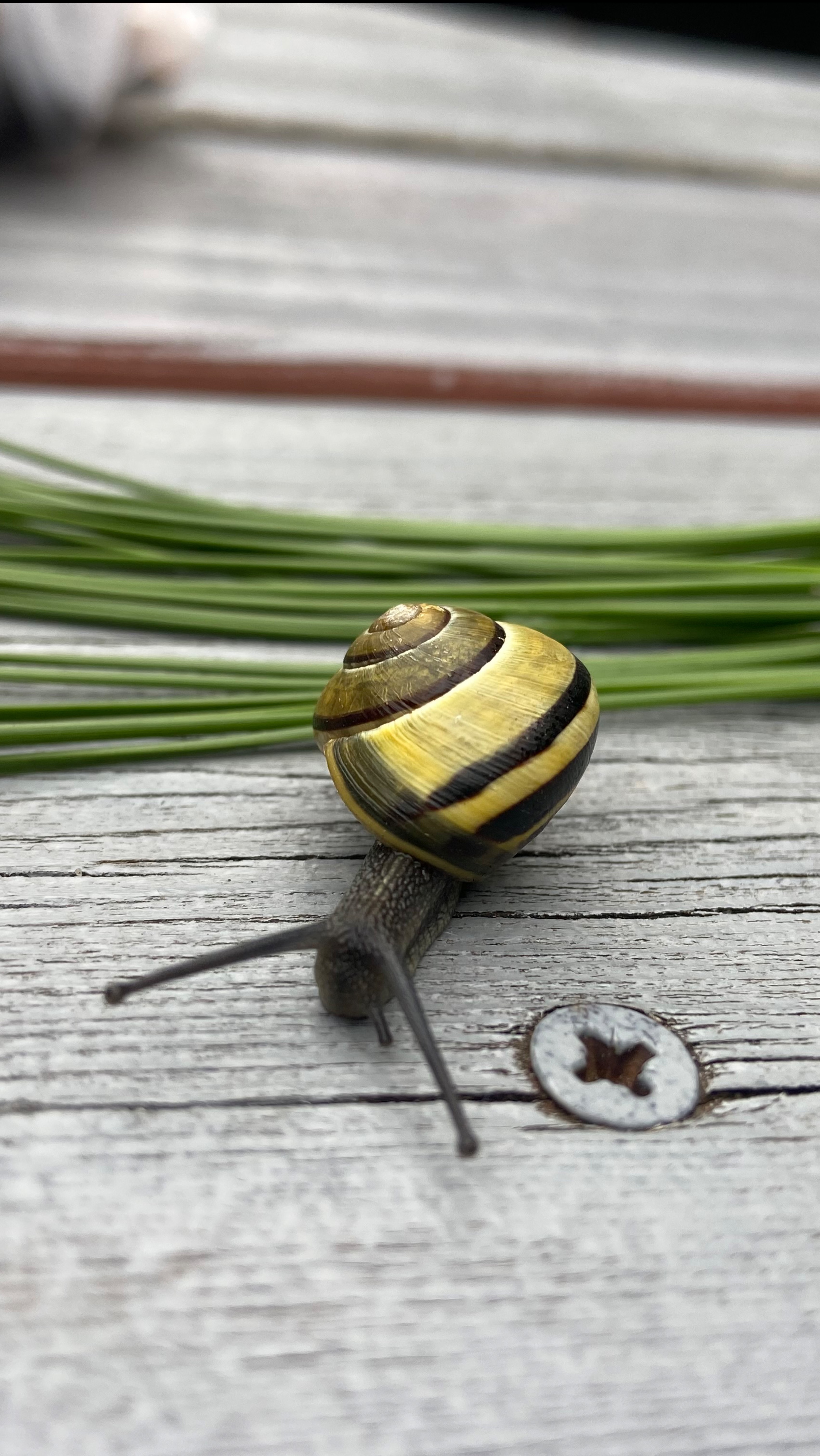 Галактика фактов