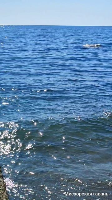 Ялта Гурзуф где покушать. Уютное кафе Сомелье... вкусно, доступно, близко. Крым отдых 🍎 #searuss