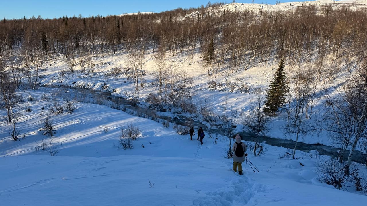 Едем на Собь.