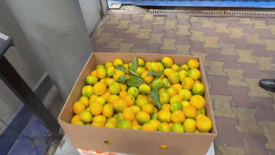 Из Абхазии в Сочи перевезли уже 2,5 тысячи тонн мандаринов