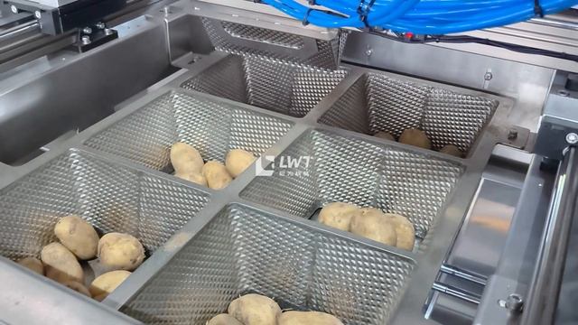 Автоматическая система подачи материала - вакуумная упаковочная машина