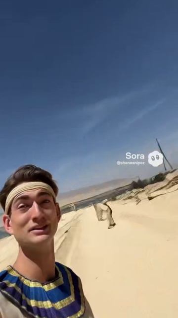 19700121_1631_690acaec0f38819189c4834ef6470057