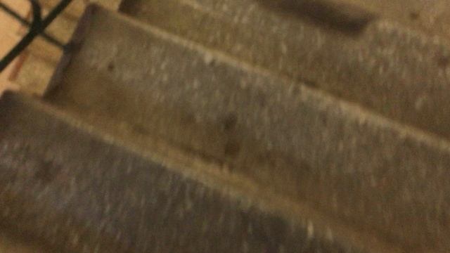 Теорема ЖКХ_Подъезд_2025.11.05_14-15