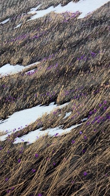 nordhelo_2025-11-06-16-07-43_1762434463425