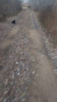 Впервые меня встречает кот😂❤️