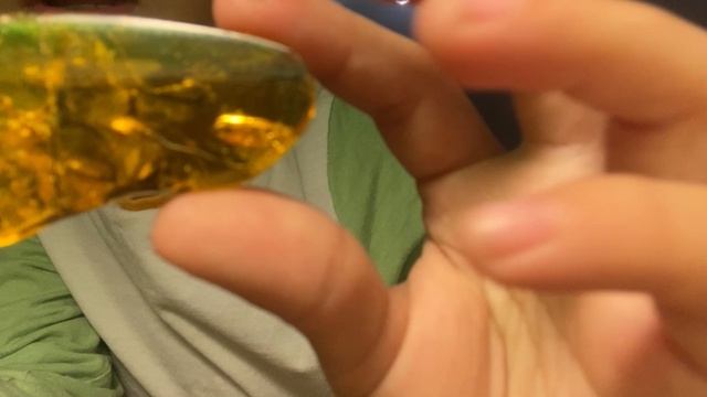 Насекомые в янтаре!