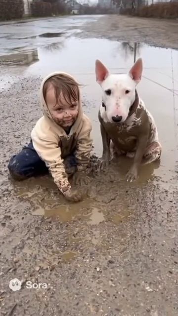 Подписывайтесь,будет интересно