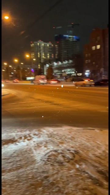 06-11-2025 А В НОВОСИБИРСКЕ ВЫПАЛ СНЕГ