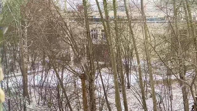 Первый снегопад, 5 ноября ❄️🌨️, Асбест, Средний Урал