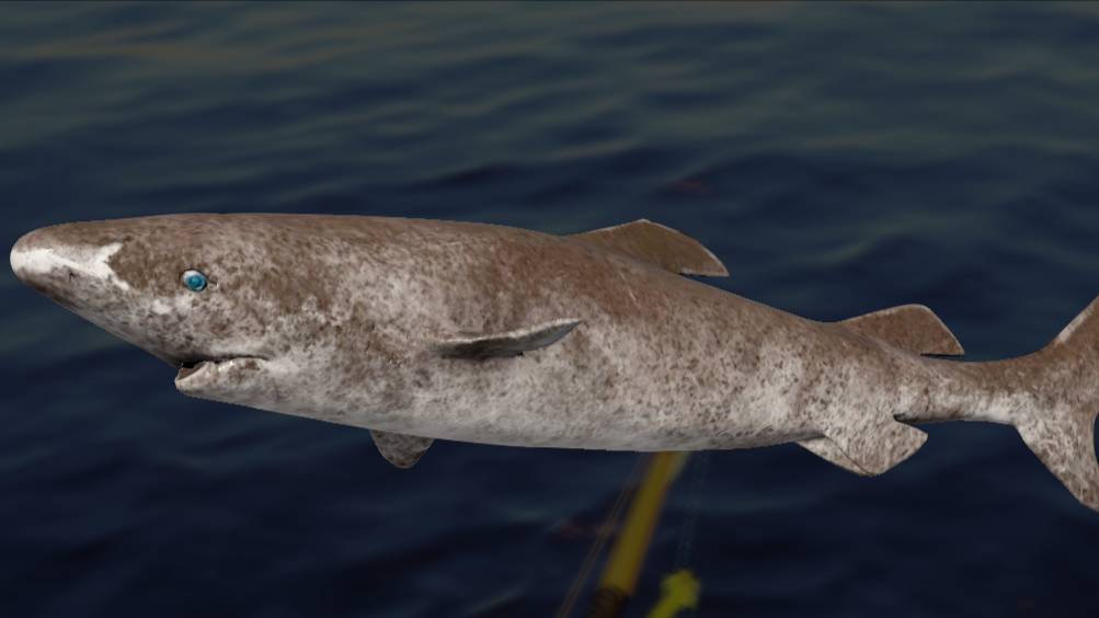 Русская Рыбалка 4 !!!