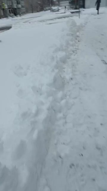 На Урале за ночь выпал снег 🌨️