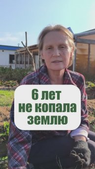 Какая земля под теплицей. 6 лет не копала