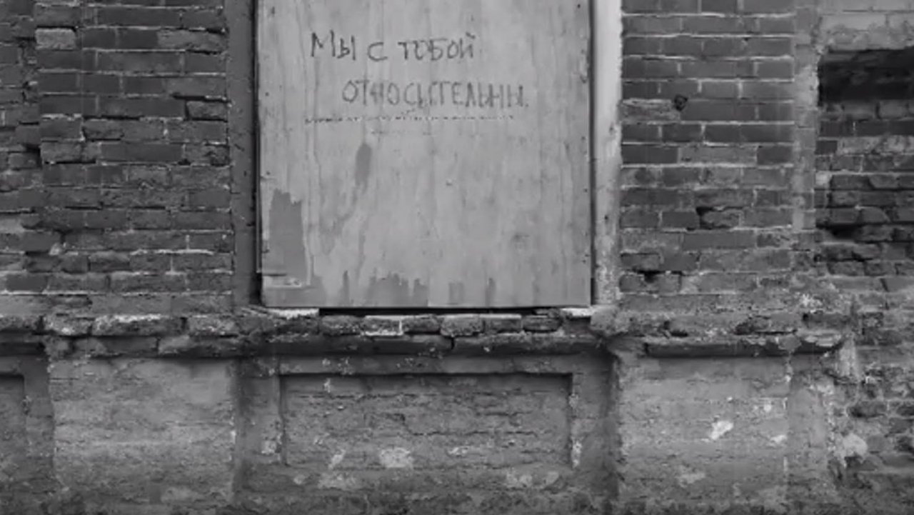 Хризантемы