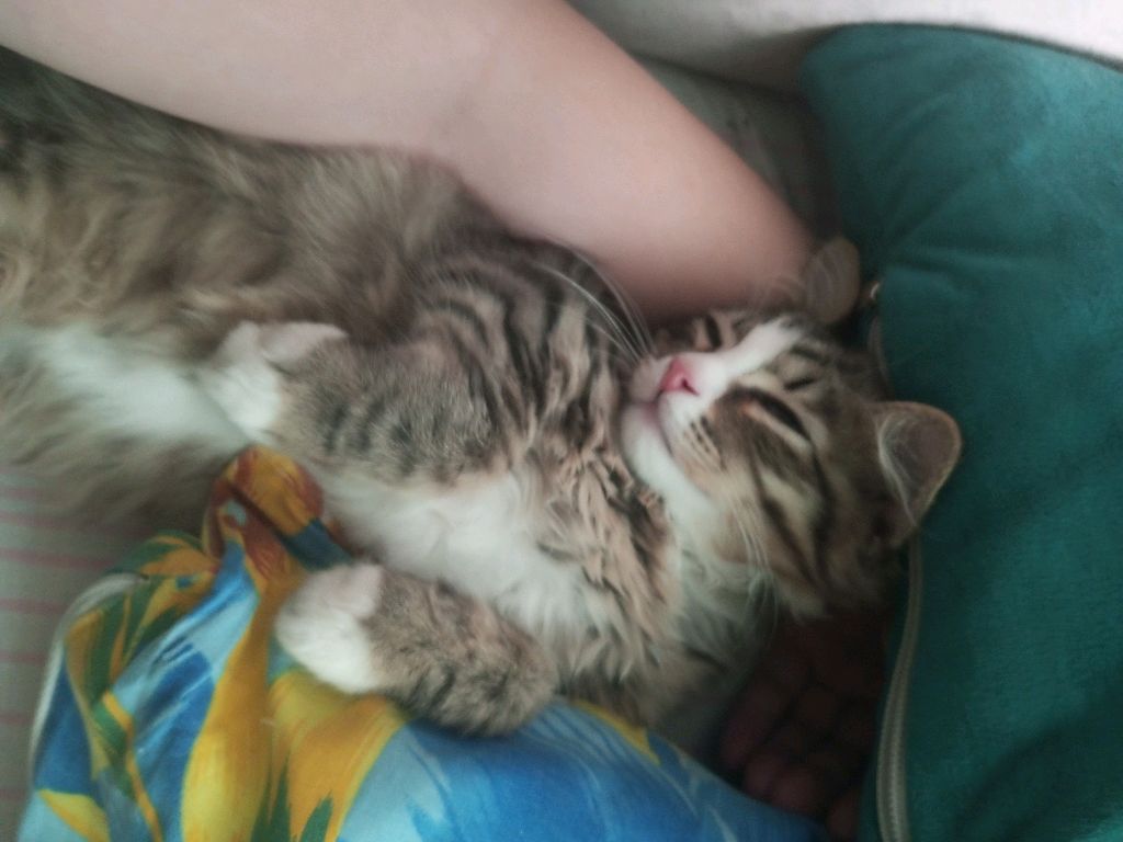 отмечаю 80 подписчиков.