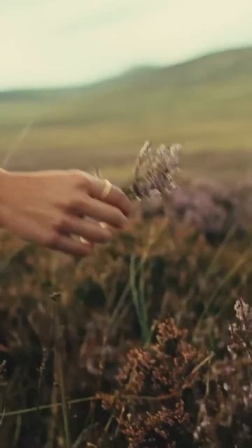 Retro Vibes with "Like Girl" by DNDM #Shorts #Disco Legend ❤️