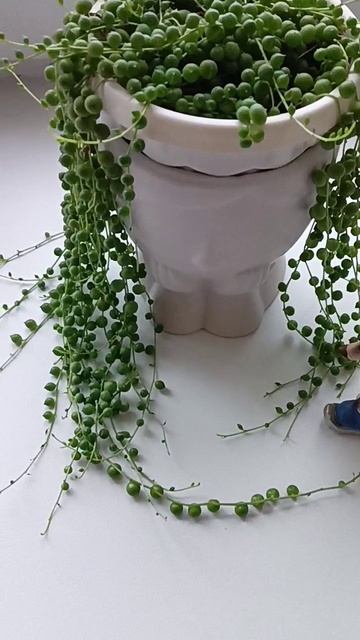 С праздником!!! Здоровья, счастья, благополучия ✍️🙏🌺☘️💝🙌