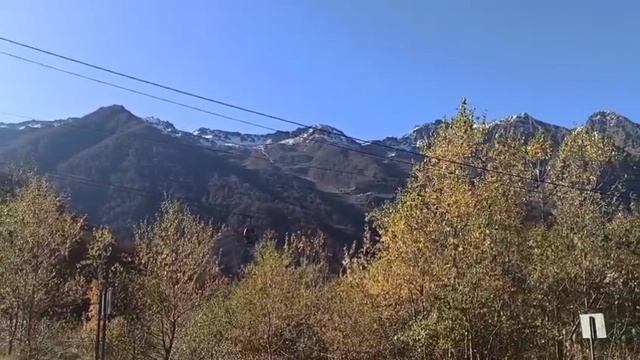 Сын в командировке в Сочи.