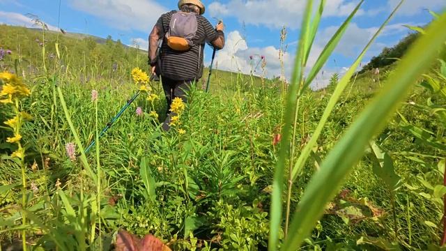 Семейный турслёт 16.08.25 (1)