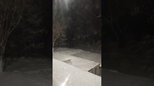 ЗИМА ПРИШЛА