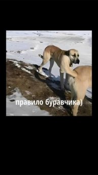 показалось😅😂😂