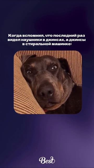 И сразу сердце в пятки 🤯