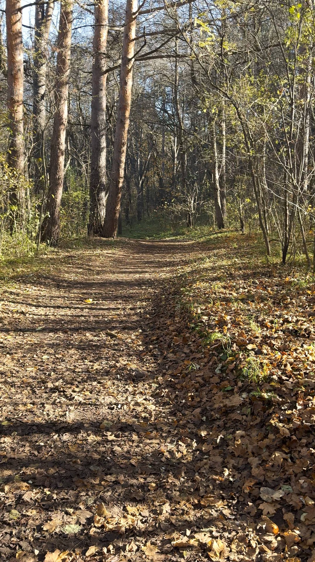 Шуршащее счастье - осенние прогулки по Кисловодску
