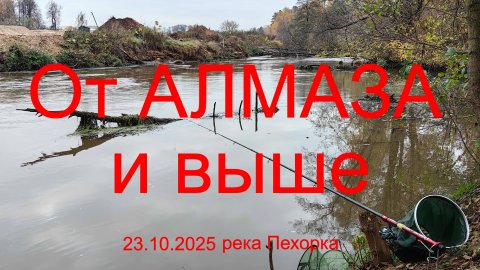 Трилогия "Пехорка". От Алмаза и выше. 23.10.2025. река Пехорка. п. Красково. Рыбалка в Подмосковье.