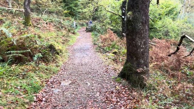 252. Наконец-то выбрались погулять, как дела у Майи и Сони.